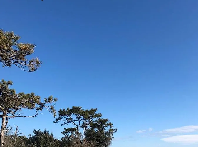 公寓 Sabrina 比比翁